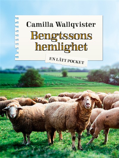Bokomslag Bengtssons hemlighet